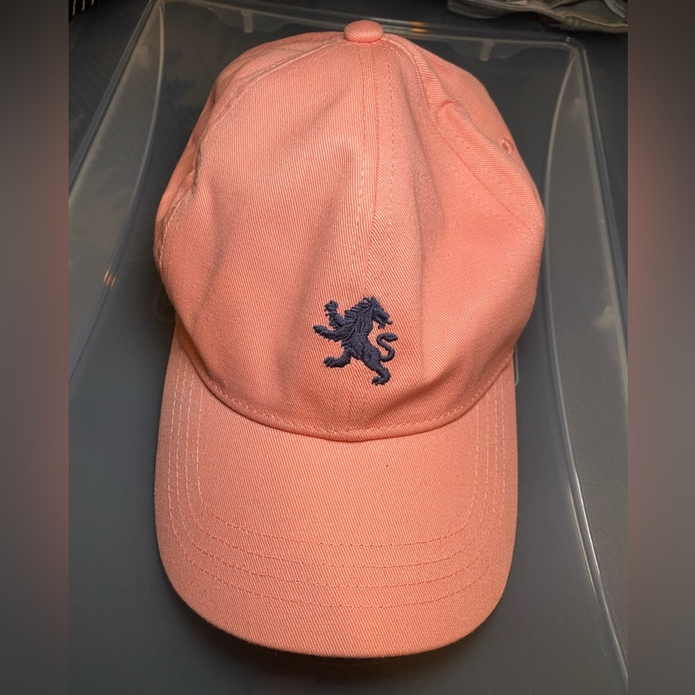 Women | Express | Pink Cap